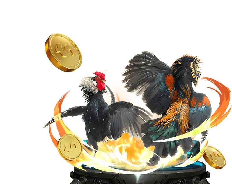 Chương trình ưu đãi OK89